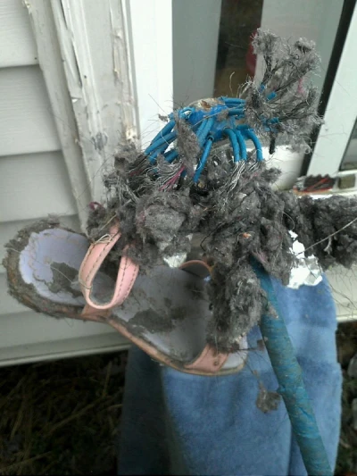 Shredded sandal.