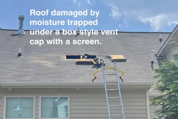 A picture of a roof damaged by moisture trapped under a box style vent screen with a cap..